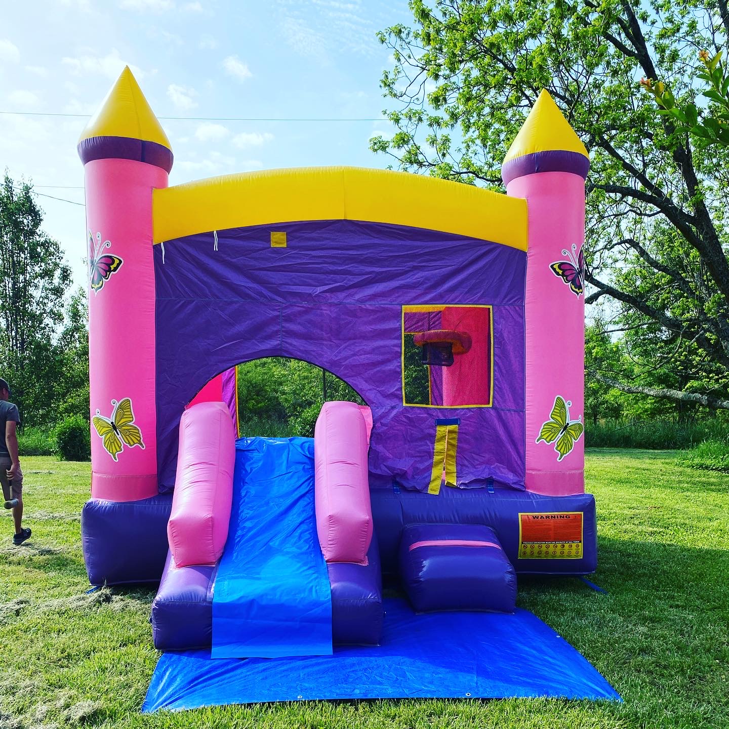 Butterfly Combo Bounce House and Waterslide Rentals in Gray Court