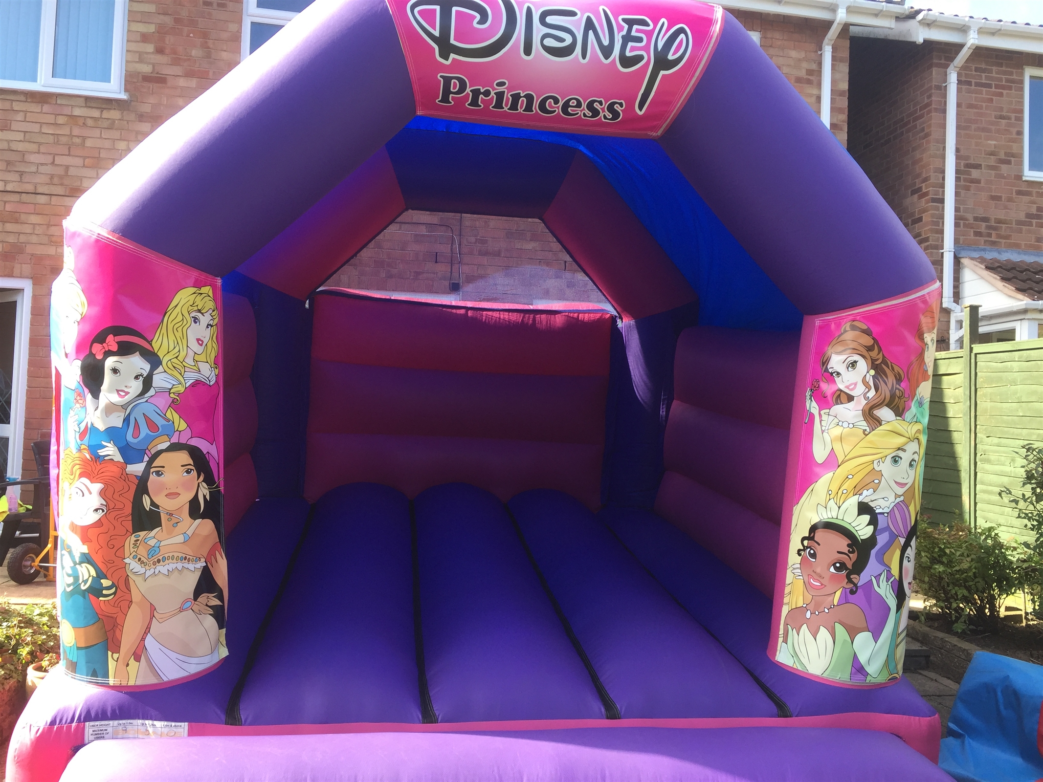 disney princess bouncy castle hire