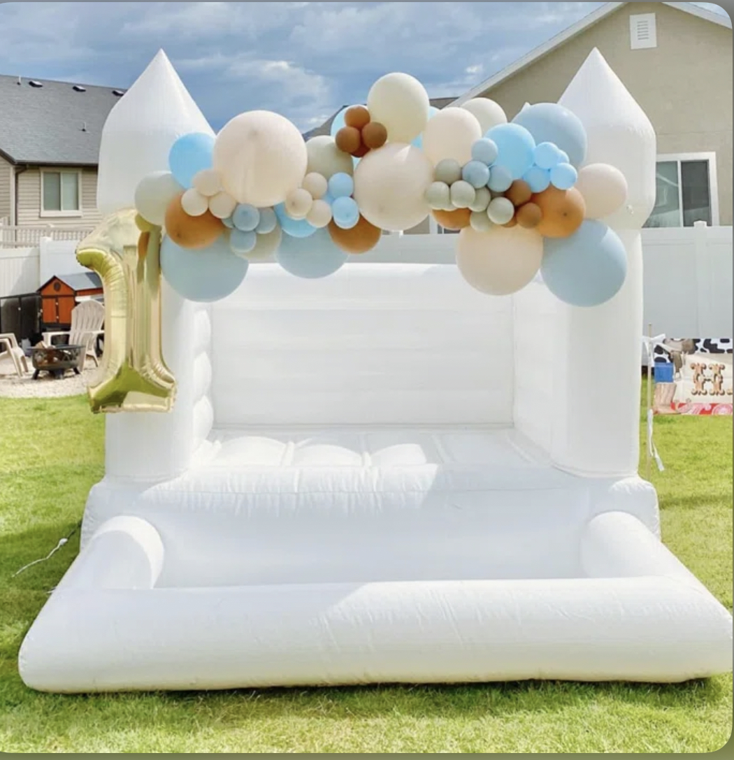 Bounce House Rentals Party Rentals Backyard Bounce KY