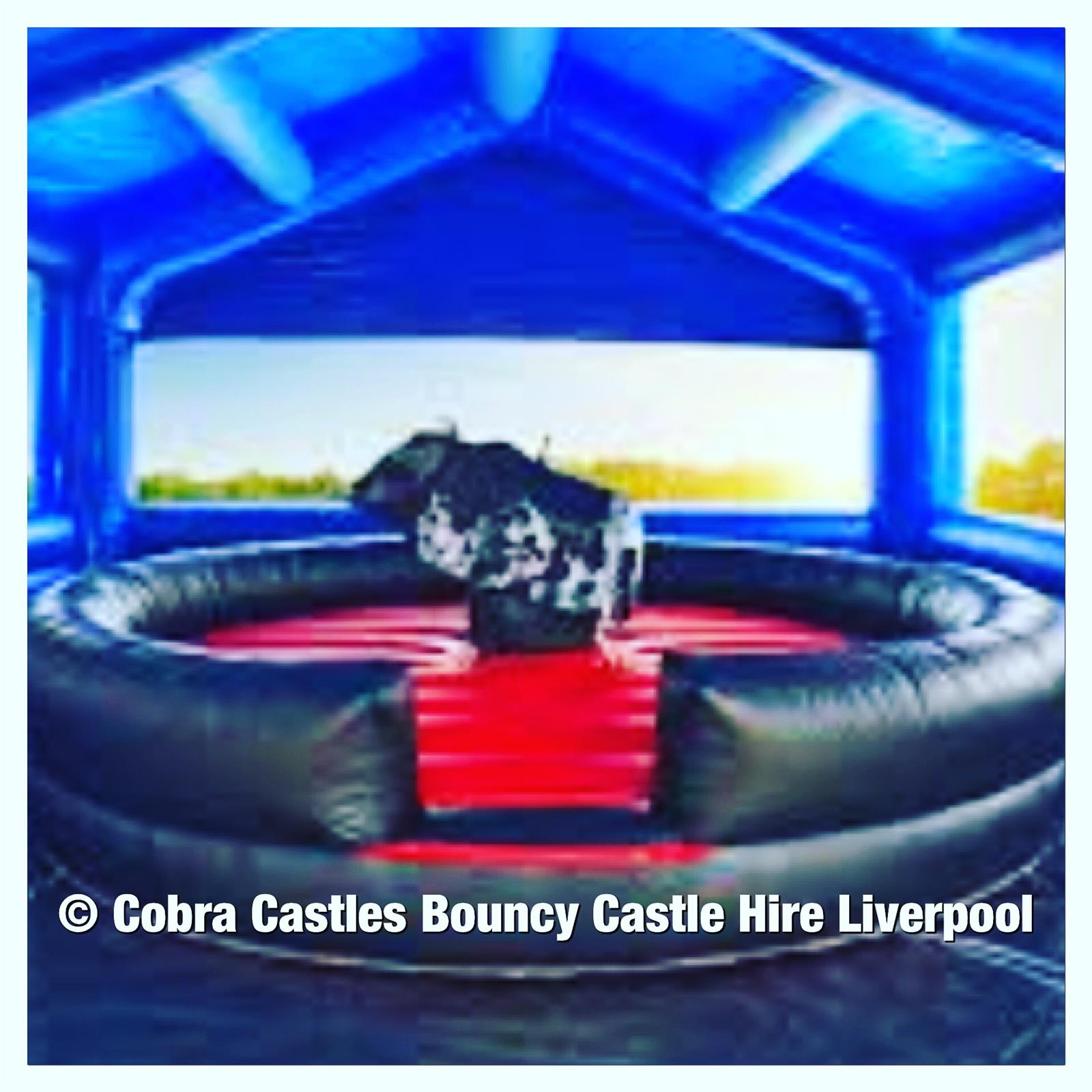 inflatables west brom