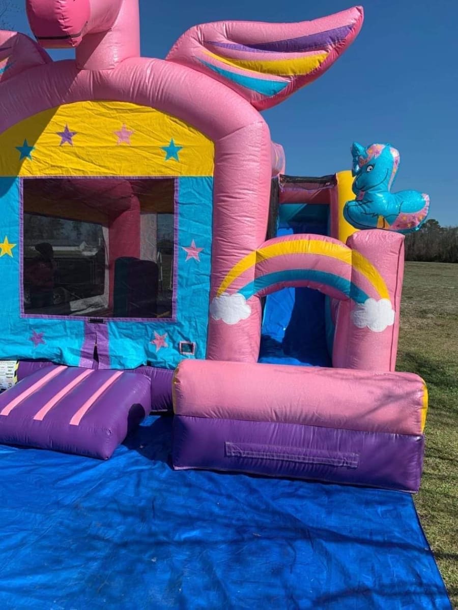 Combo Bounce Houses Party Rentals in Albertson