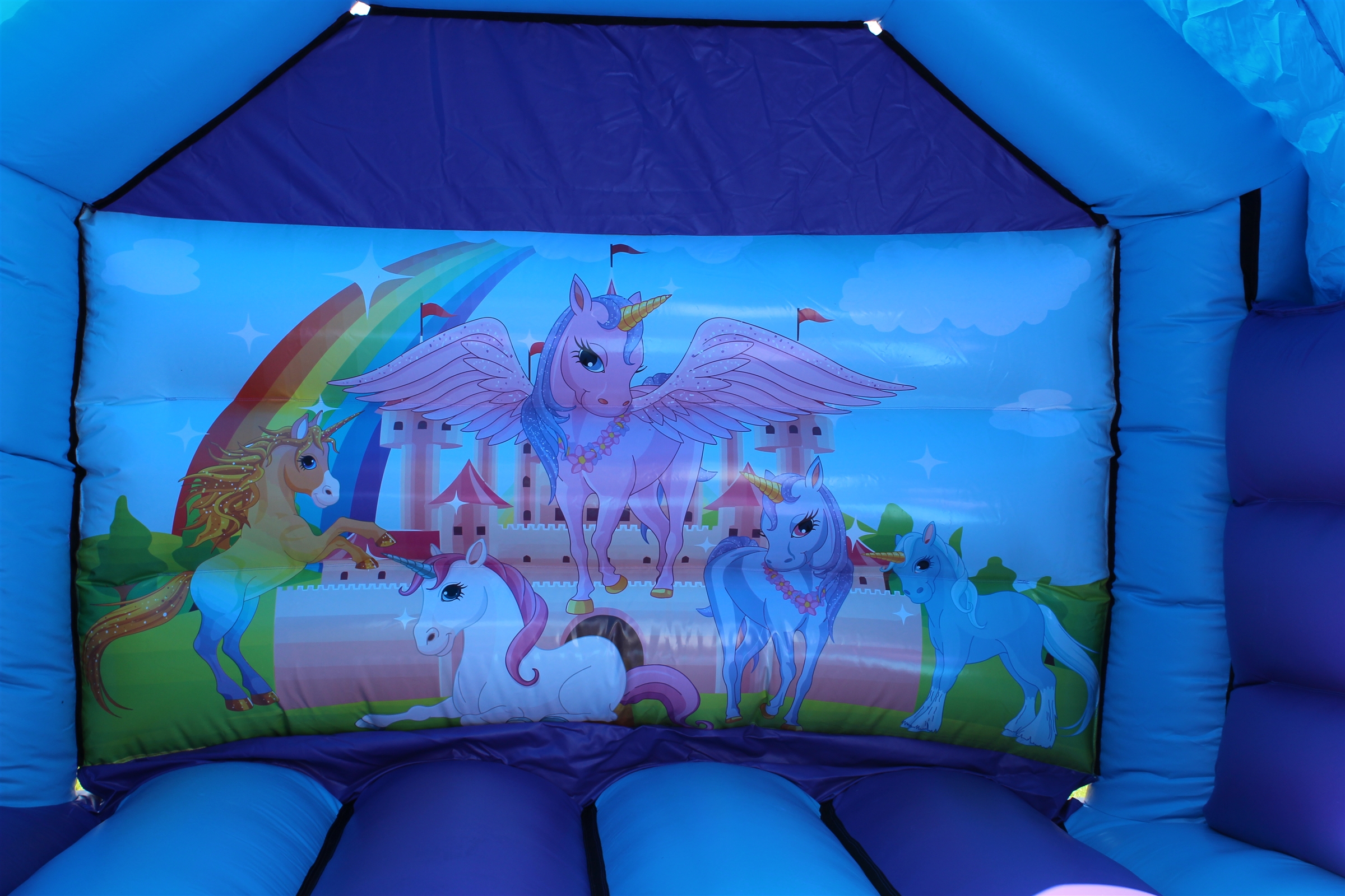 Unicorn Bouncy Castle Hire Newbury Bouncy Castles for Hire Reading
