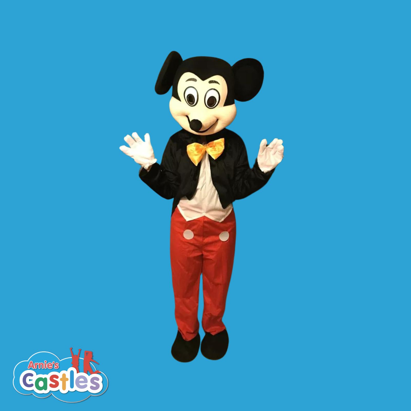 Mascot Costume Hires