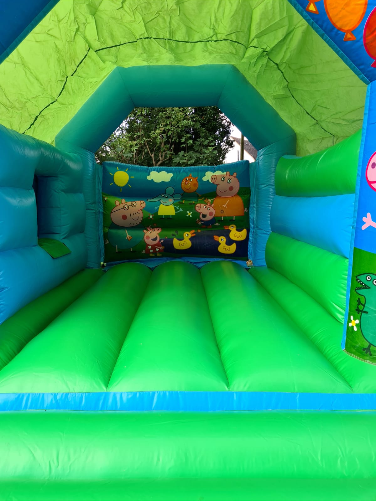 15ft x 18ft Piggy Pig Bounce And Slide Bouncy Castle - Bouncy