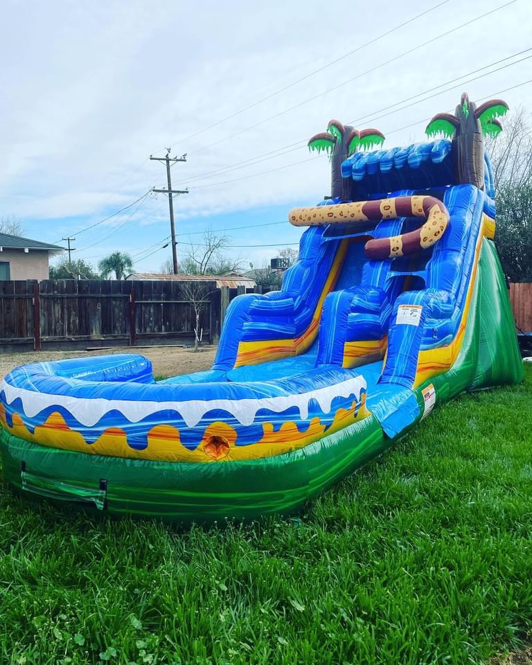 Hidden Jaguar 15ft slide Bounce House and Water slide Rentals in