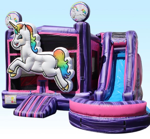 Combo Bounce Houses (Wet and Dry) Rent in South Carolina Morton
