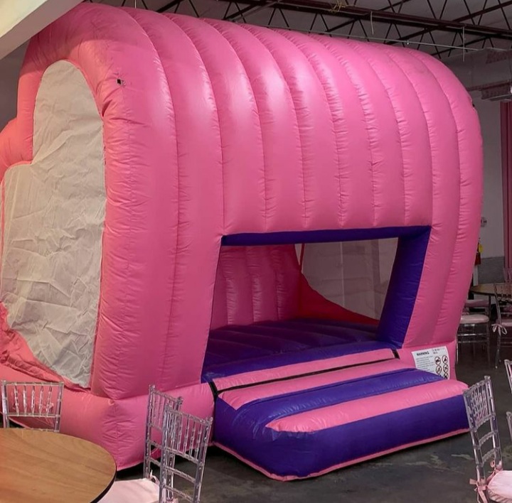 Exotic Inflatables Hire in florida