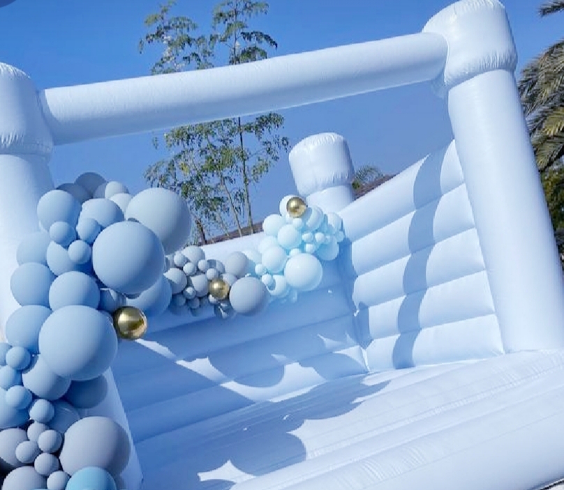 Macaron Pastel Blue Modern Bounce House Rental in Houston, TX