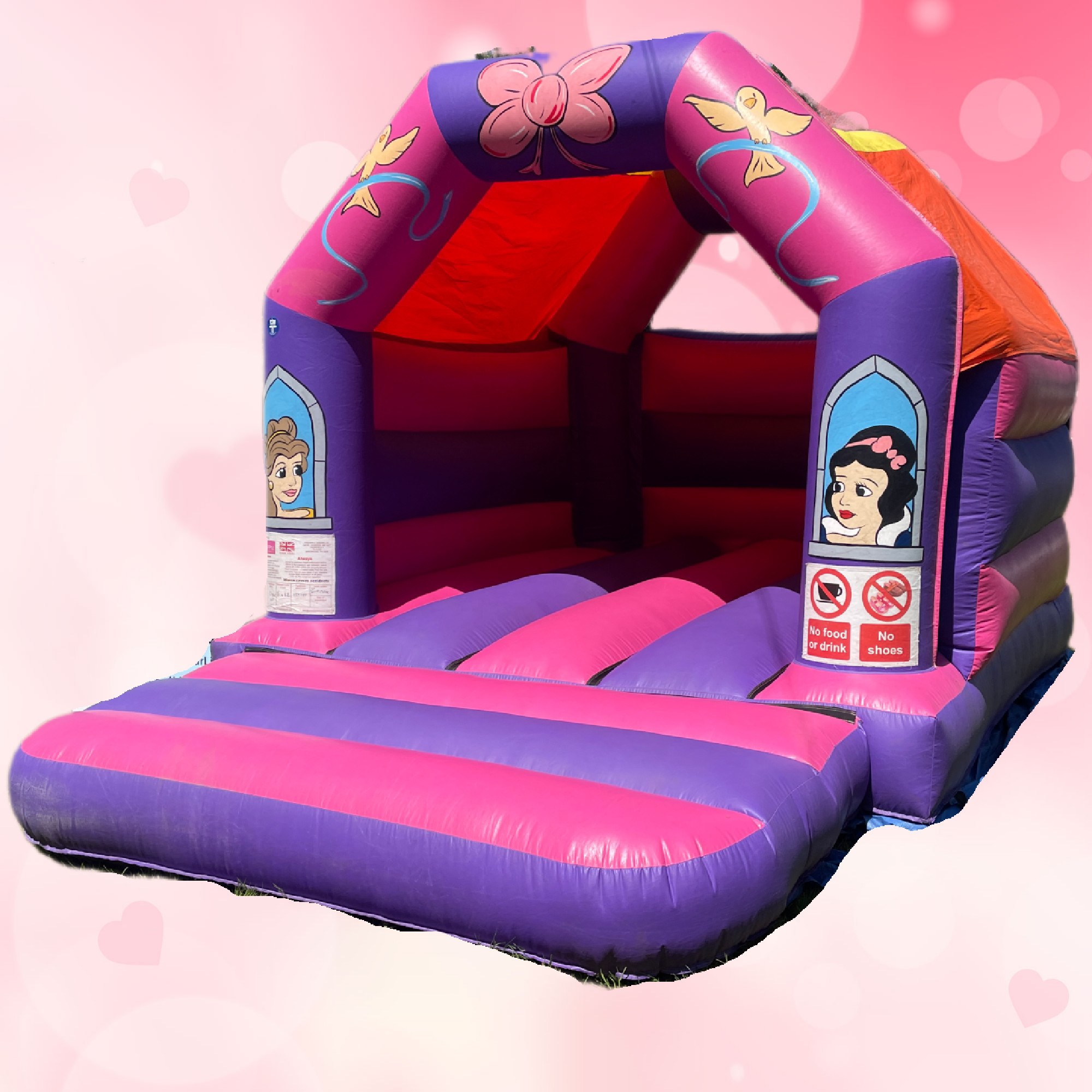 Princess Party Package - call 07510851430