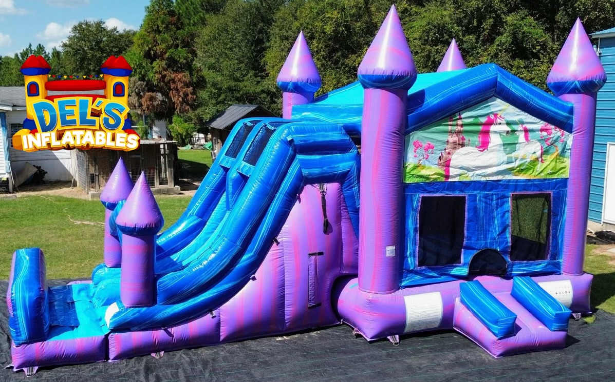 Dry Units Best Inflatable Rentals, Bounce House Rentals, Water Slides service in Norman Park