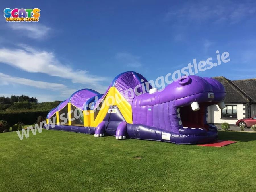 Hippopotamus Obstacle Course - SBC178