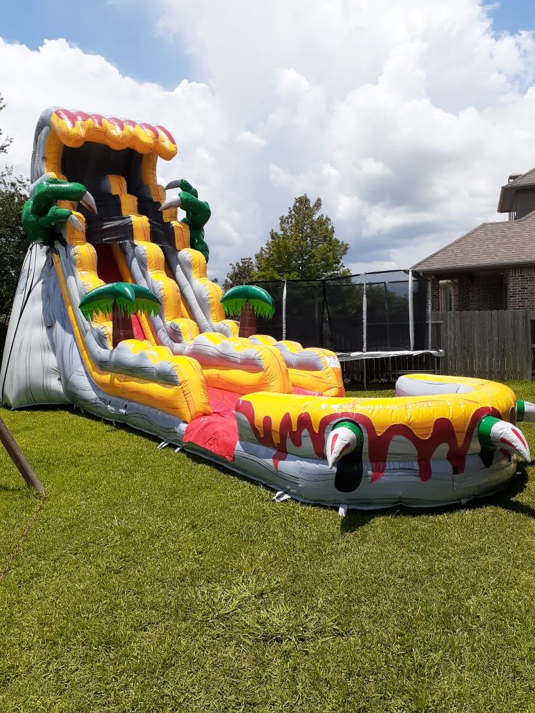 Amazing Dry Slide Rentals TLG Inflatables