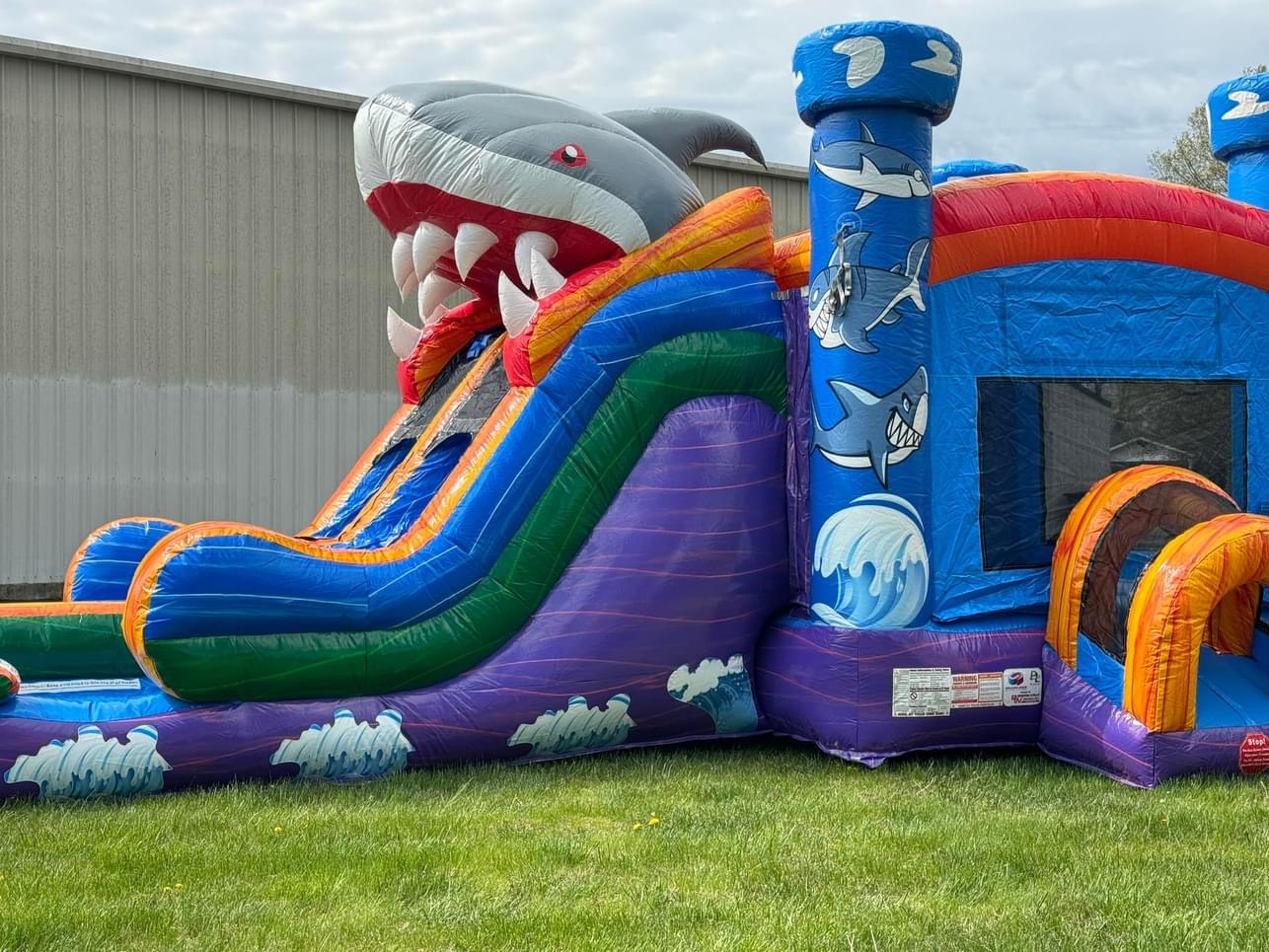 Shark Inflatable Combo Shark Combo Wet - Bounce House Rentals in New Albany, IN | Wright ...