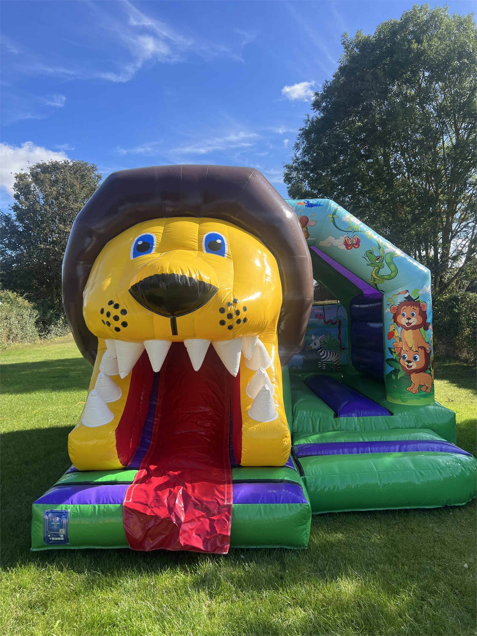 Slide Castles - Best Hire service in Ipswich & Colchester | Cutting Castles