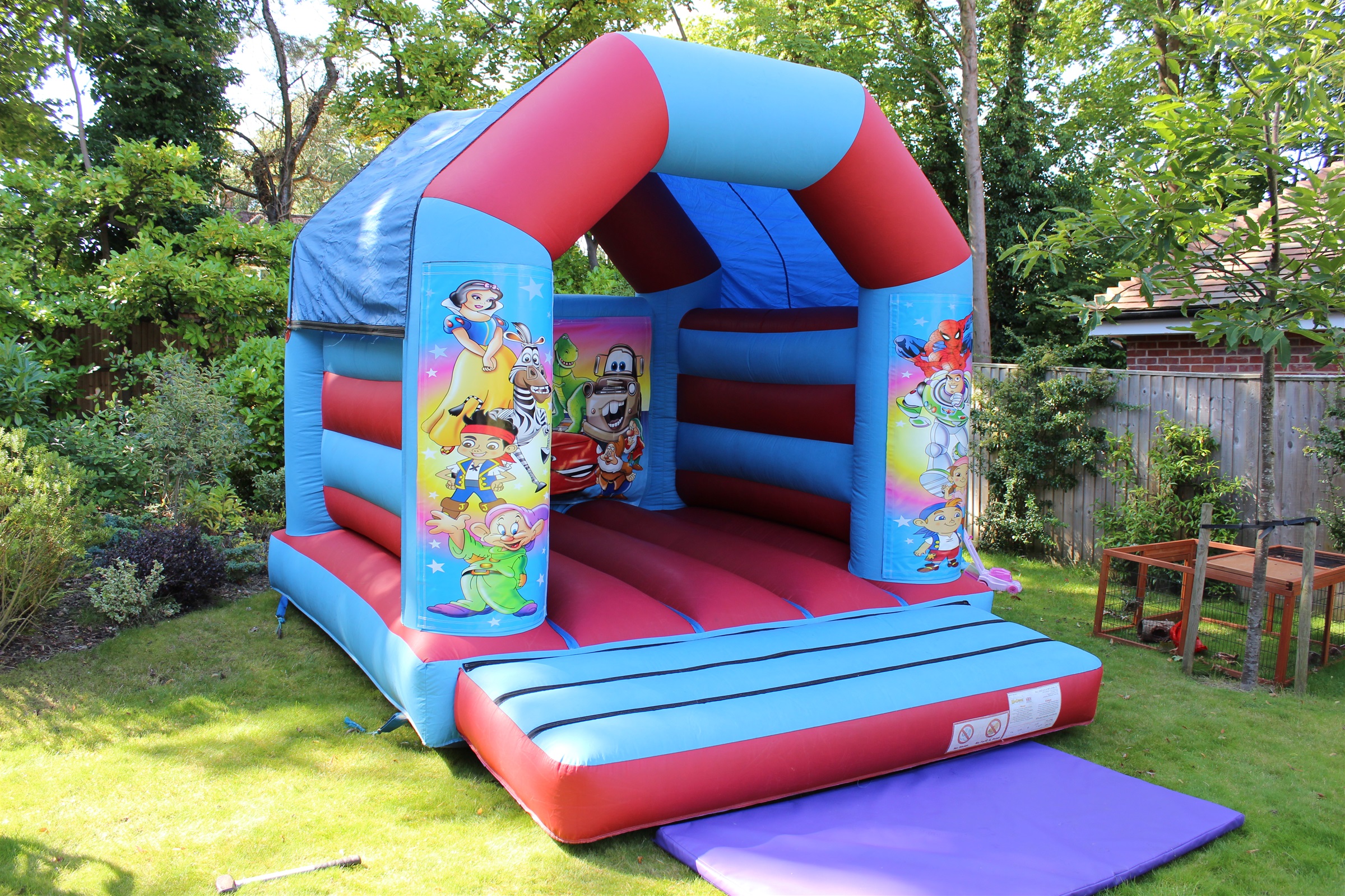 Mixed Characters Bouncy Castle Bouncy Castle and Inflatable Hire in