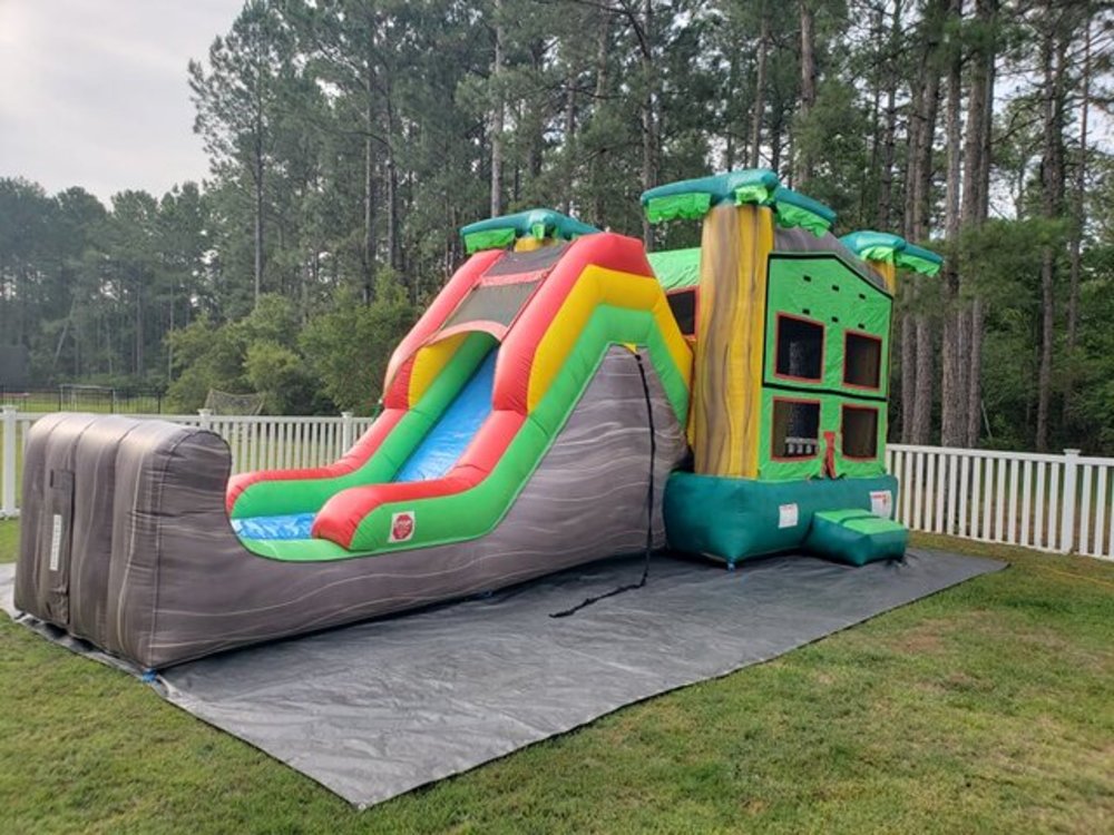 Jungle Theme Combo Bounce House Rental