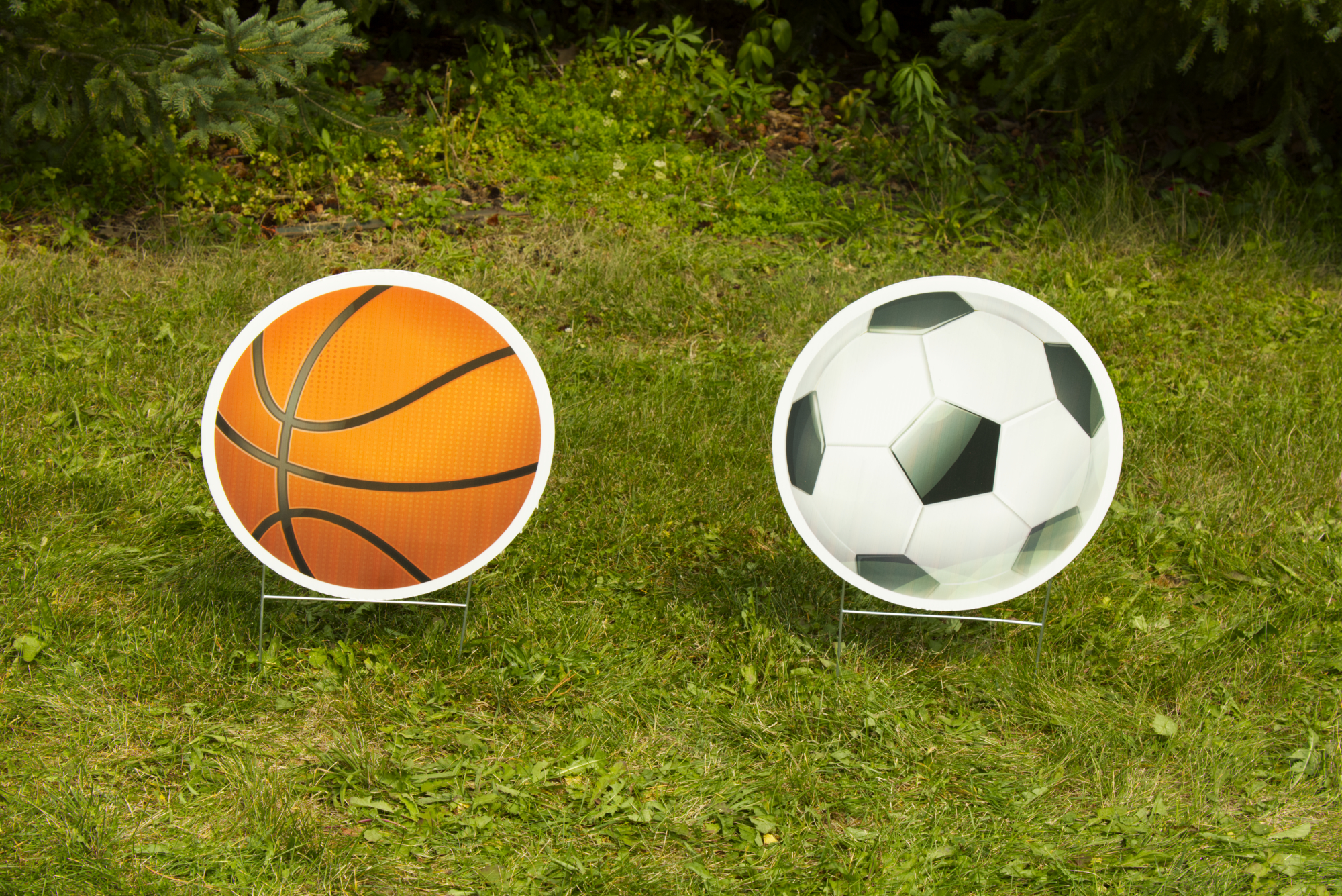 Sports Balls Yard Greetings in Toronto