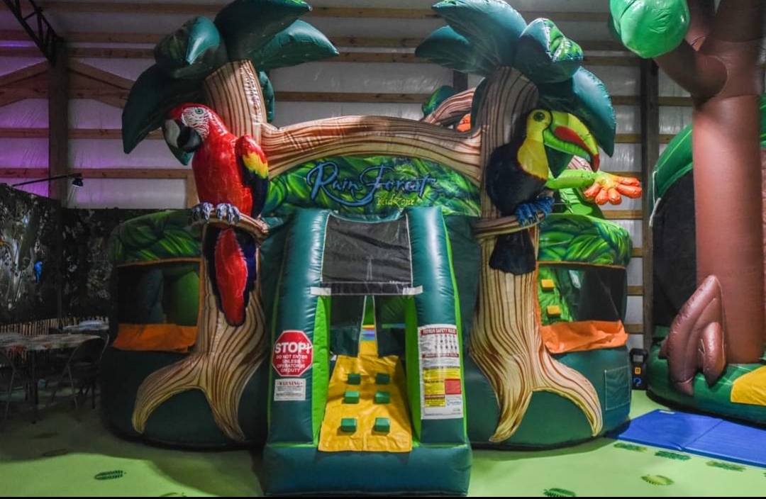 Rainforest Adventure Party Room Hire in AL Bouncers Inflatable Rentals