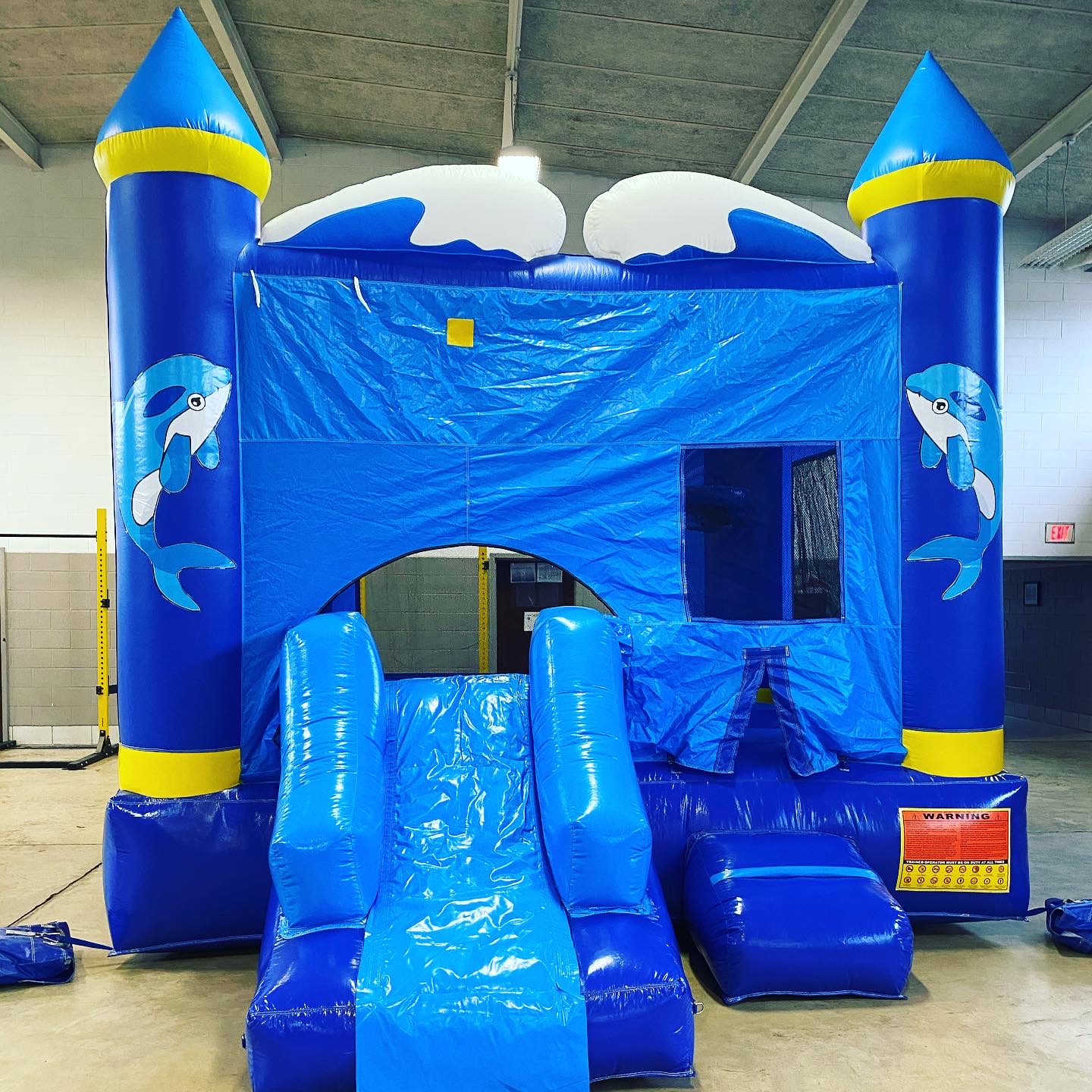 Dolphin Combo Bounce House and Waterslide Rentals in Gray Court