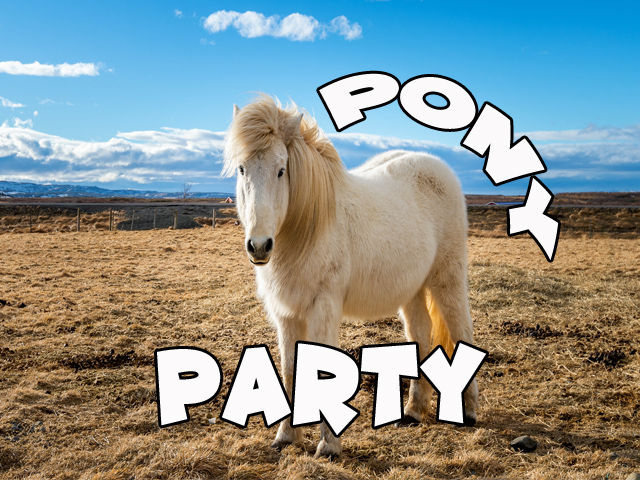 pony-party-for-rent-sacramento-party-jumper-rentals