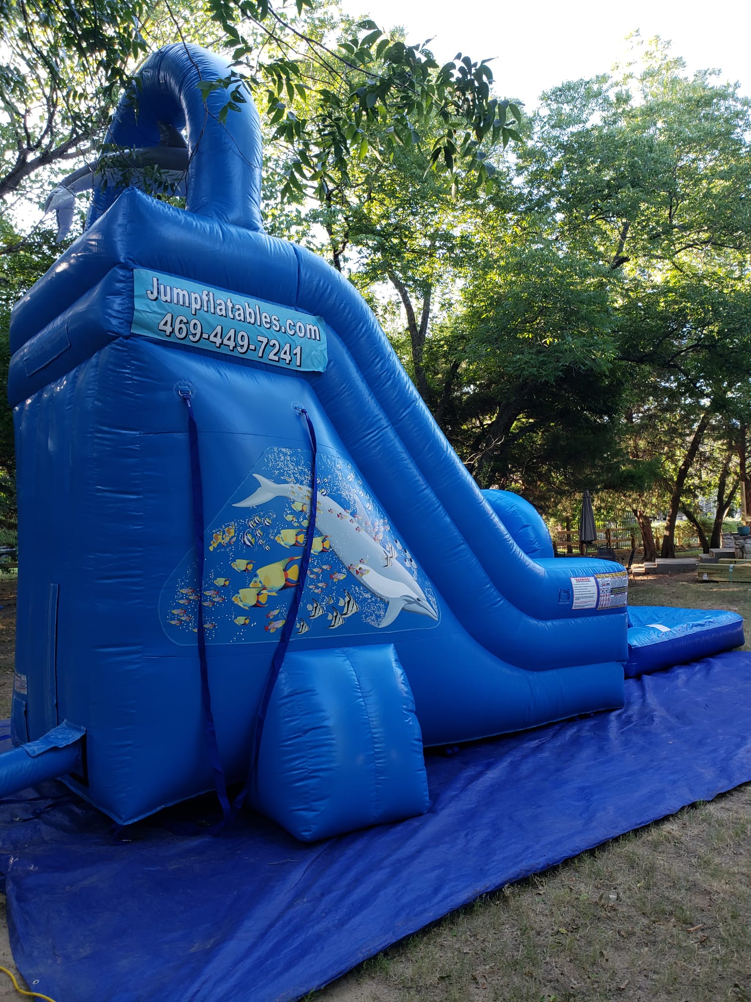18ft Tall Dolphin Waterslide Best Party Inflatable Rentals service in