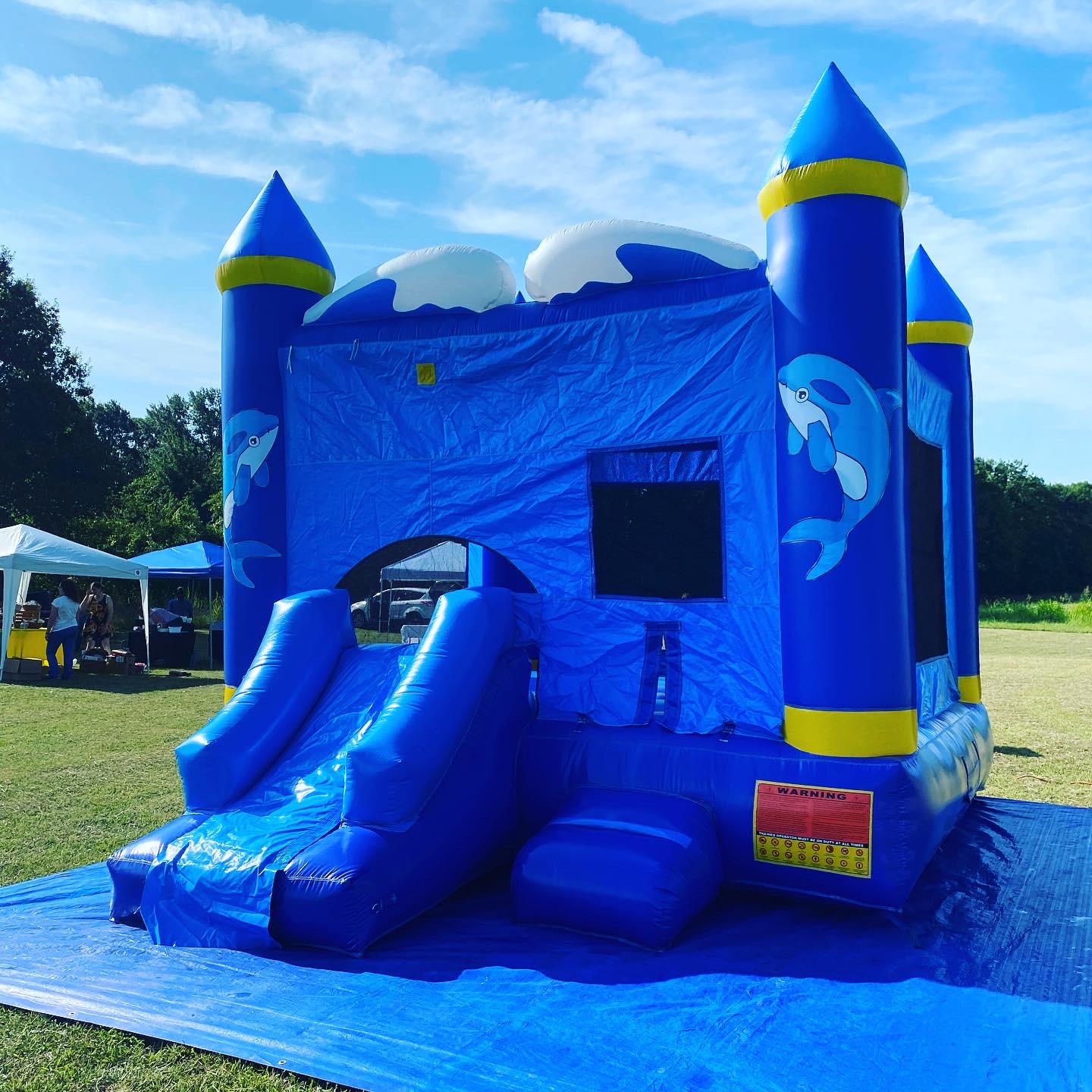 Dolphin Combo Bounce House and Waterslide Rentals in Gray Court