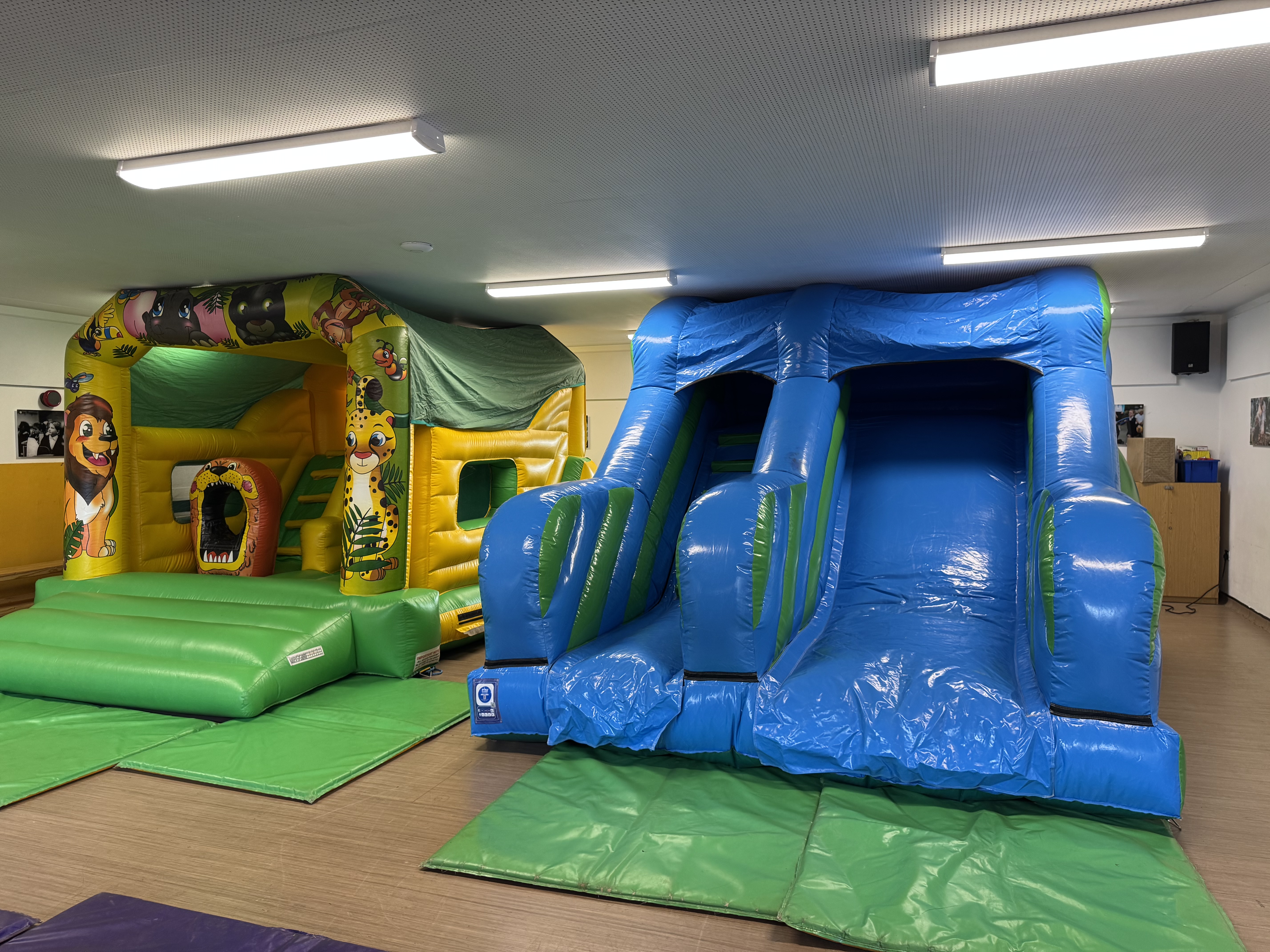 Jungle Bouncy Castle With Slide Package - Bouncy Castle Hire in Torquay ...