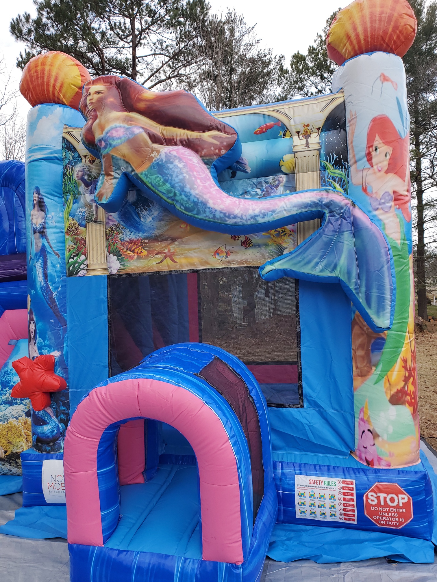 Mermaide Slide Mermaid Wet/Dry Dual Lane Combo Slide - Birthday Party Rental Service ...