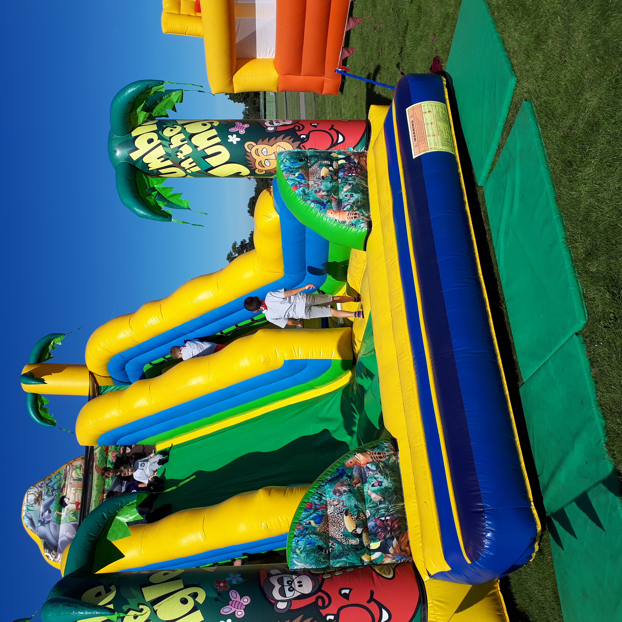 men's jungle slide
