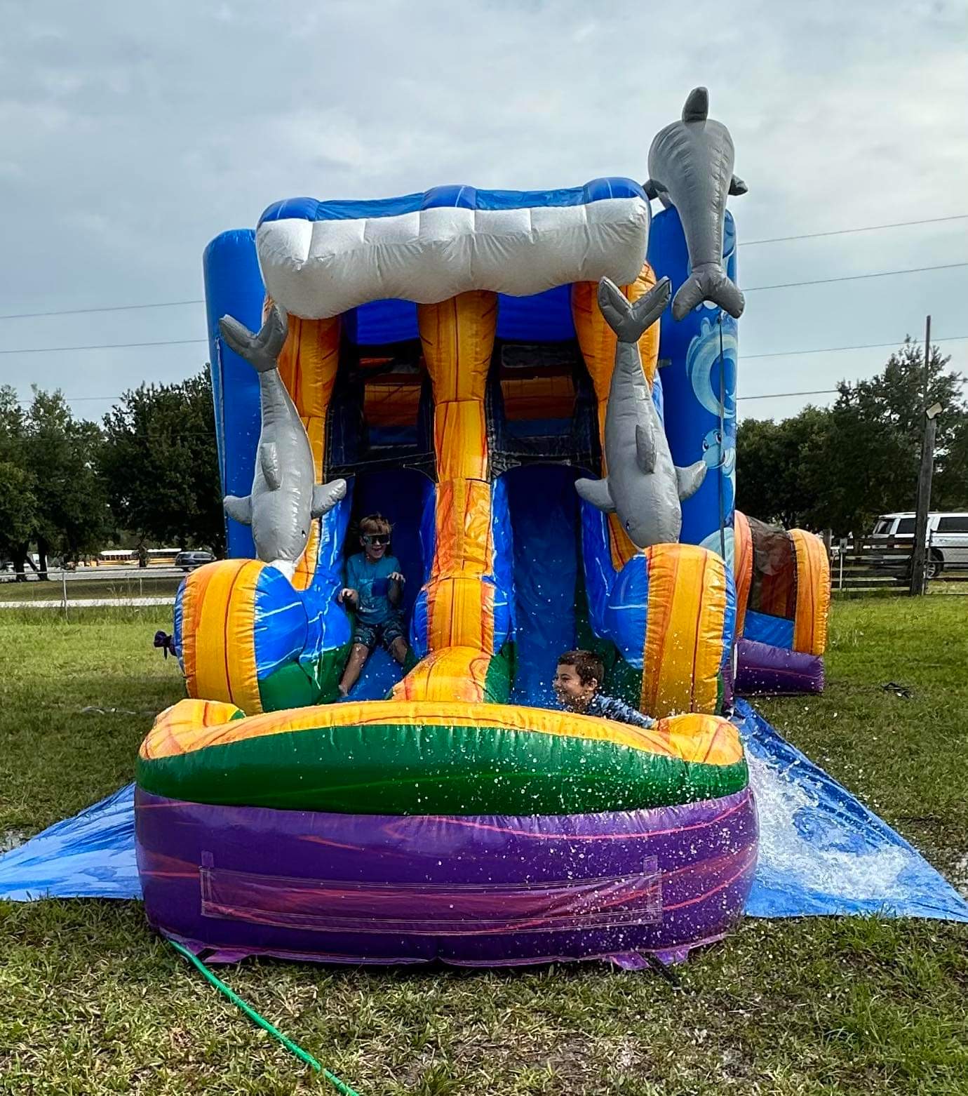Dolphin Dual Lane Combo - Party Rentals in North Central Florida ...