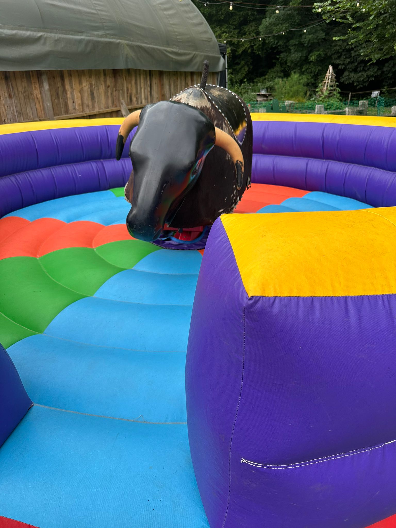 Bucking Bronco Hire London – Ride the Wild West at Your Event!