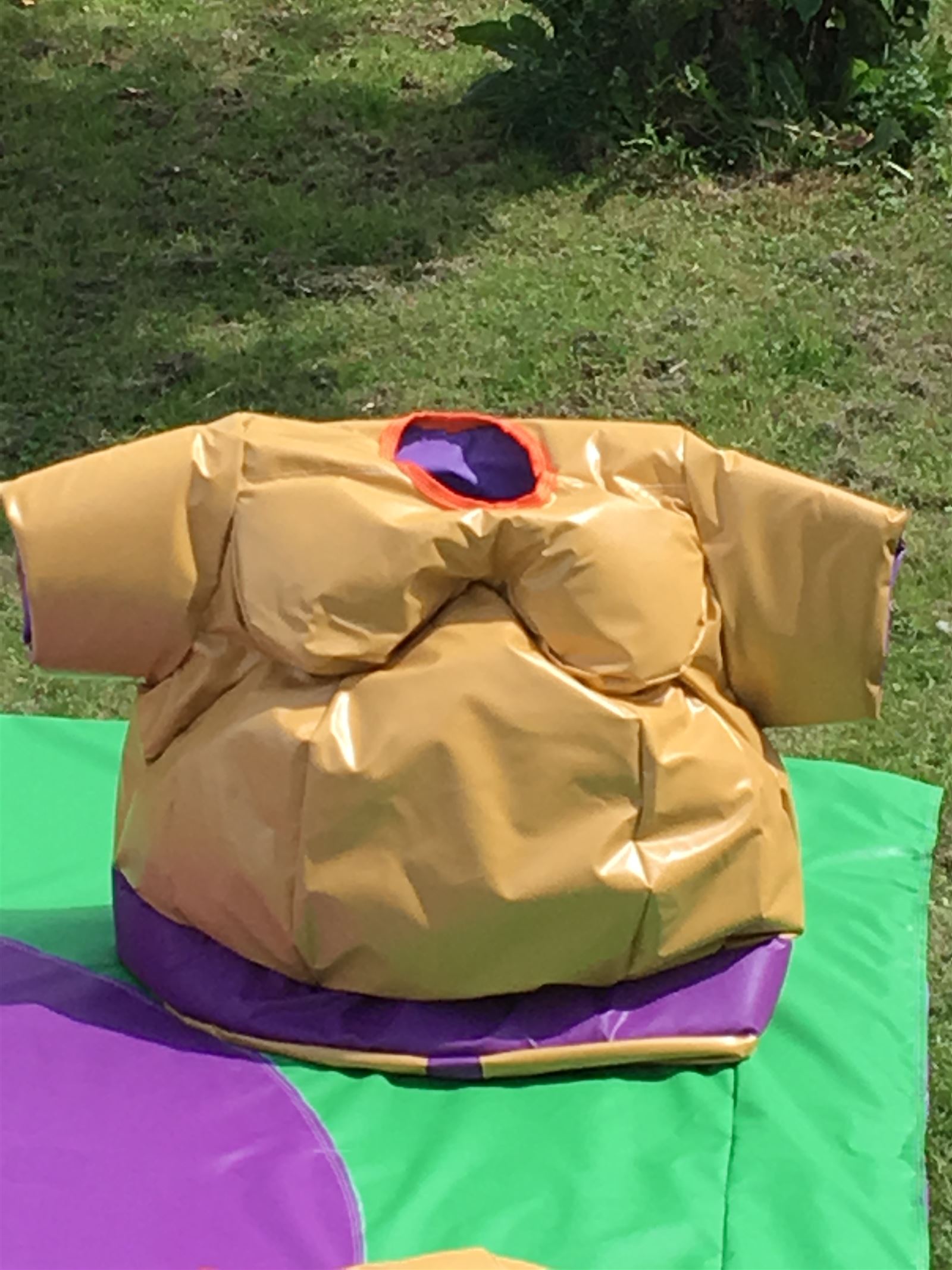 hire sumo suits