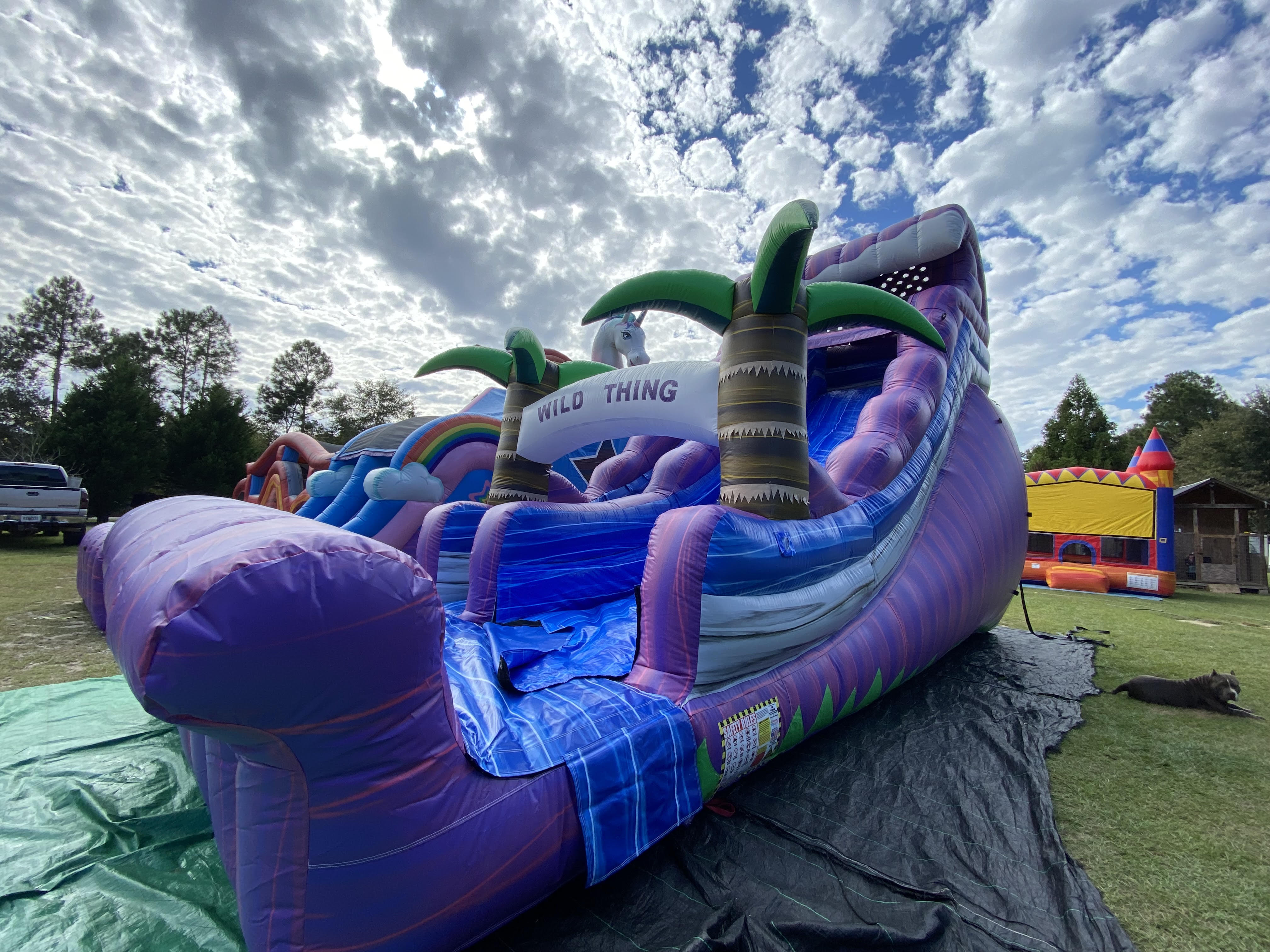 Dry Units Inflatable Rentals, Bounce House Rentals, Water Slides in Norman Park, Moultrie