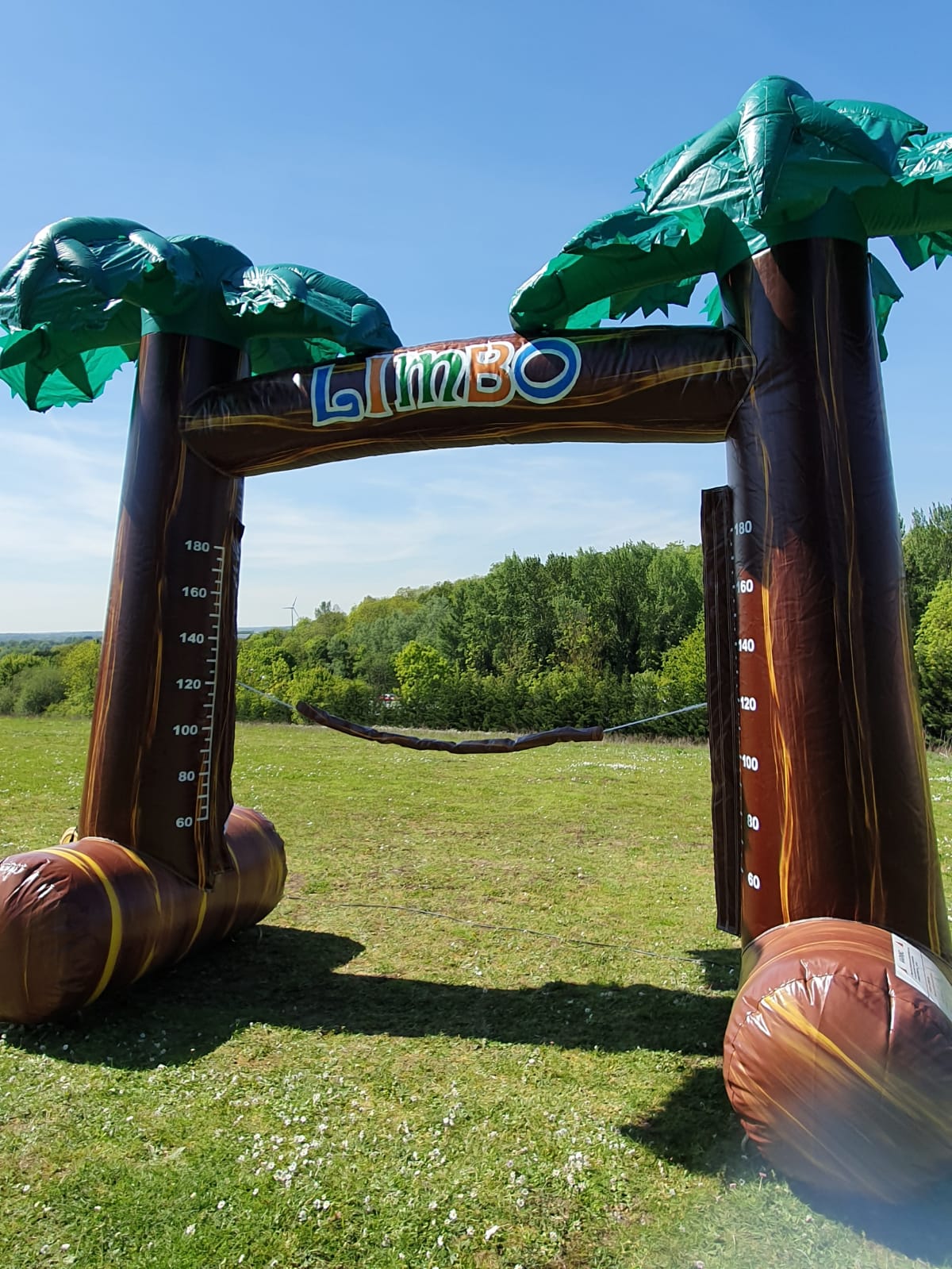 limbo bar game champions limbo bar game champions