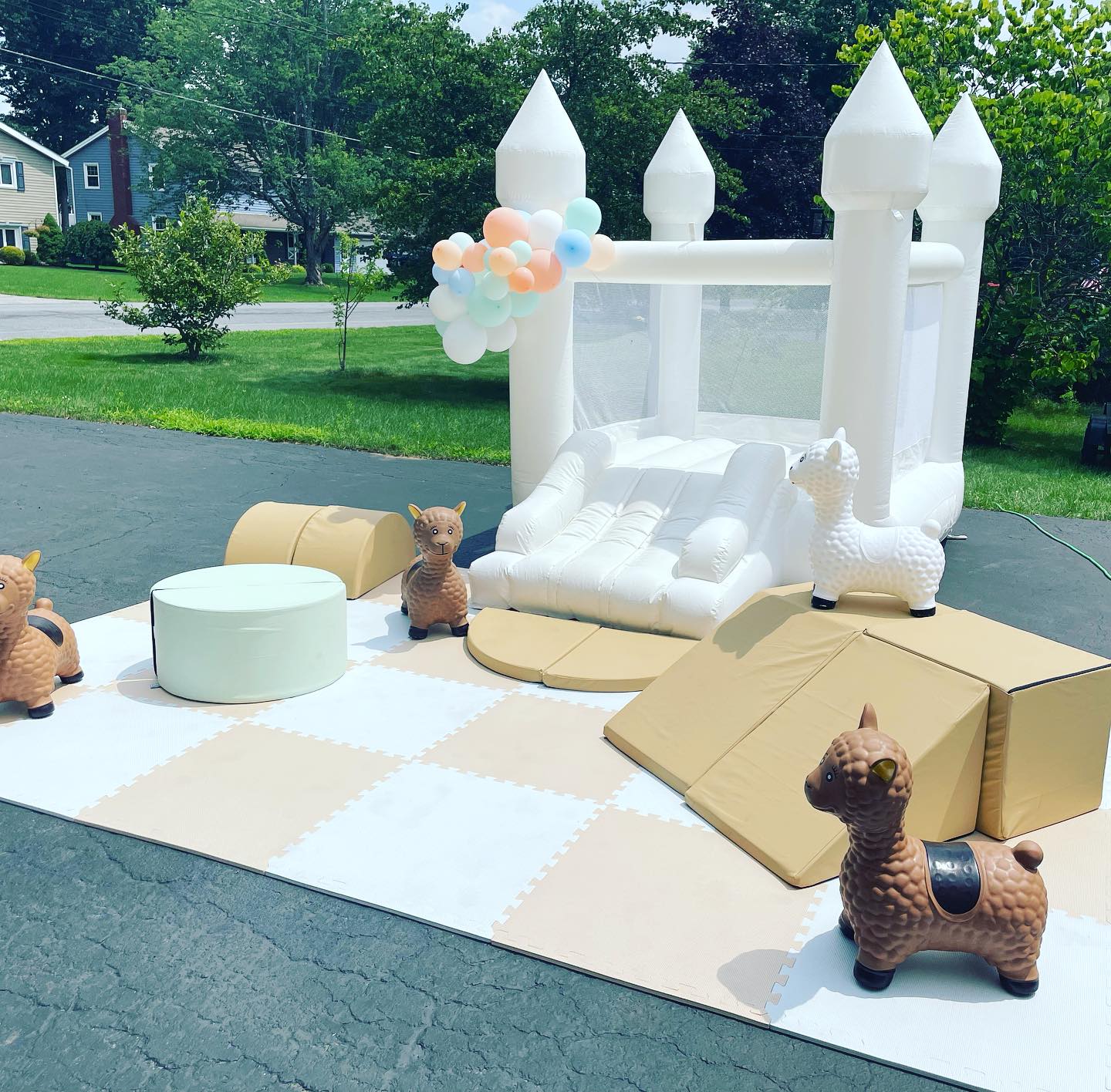 Soft Play Best Bounce House Rentals service in Capital Region, New