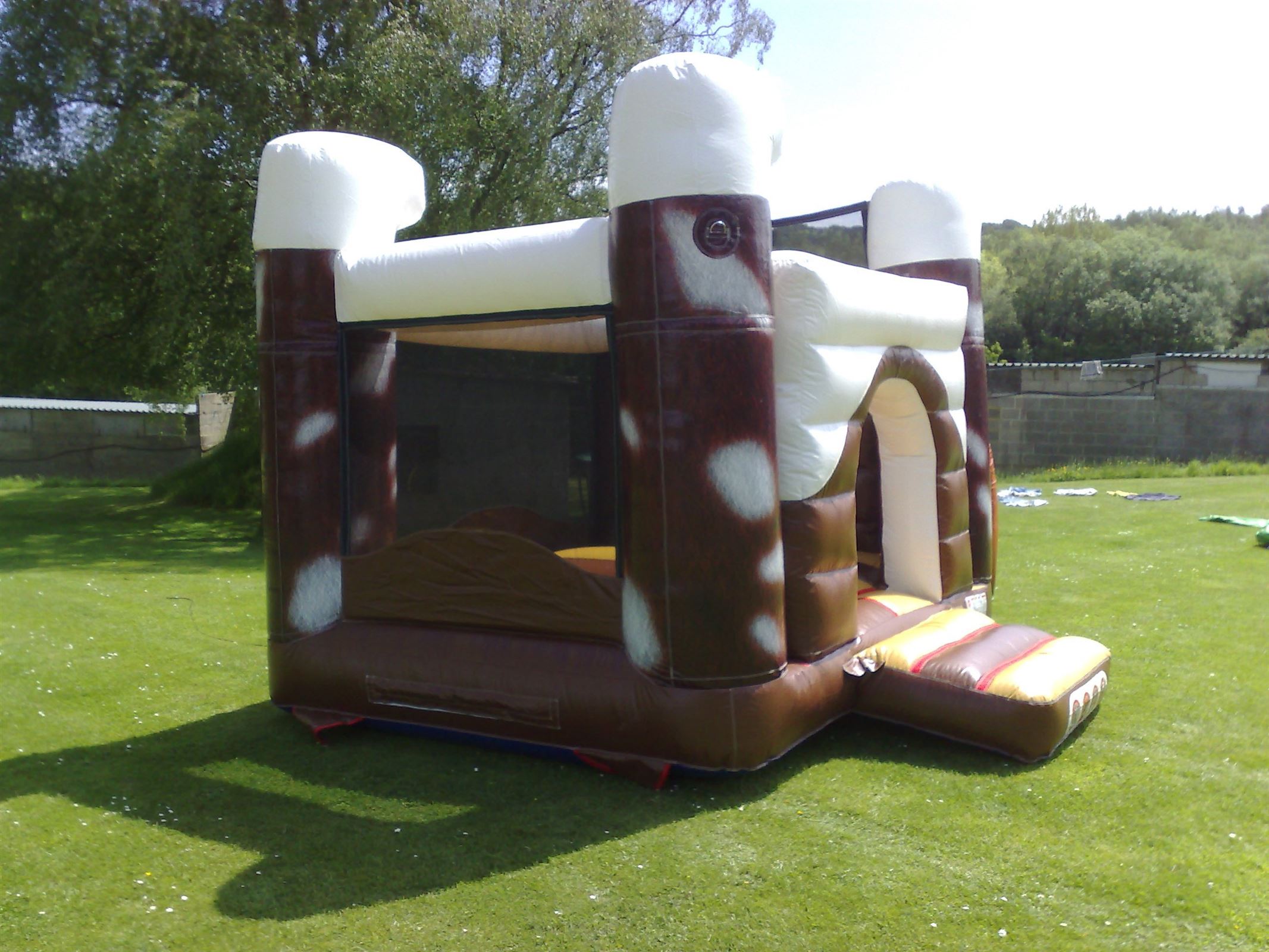 top dogs bouncy castle