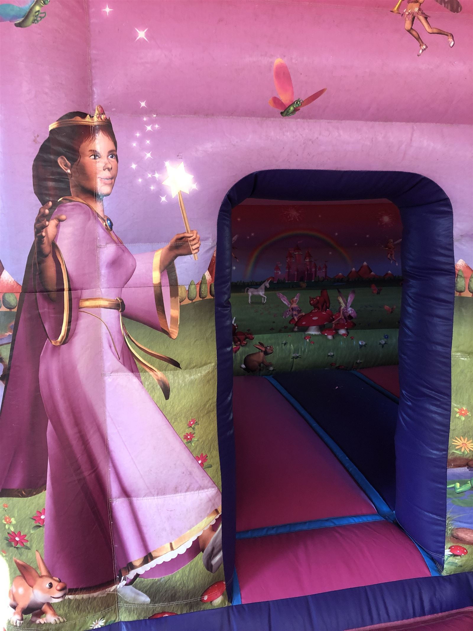 Ft X Ft Princess Bounce House Slide Combo Bouncy Castle Hire In Crawley West Sussex