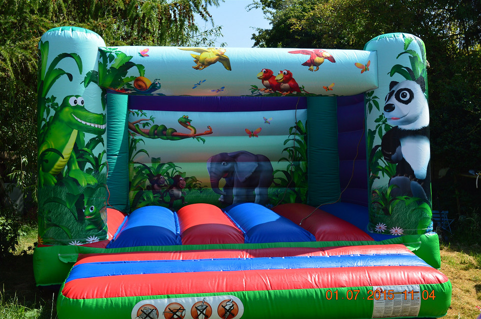 E-Jungle B/Slide - Bouncy Castle, Softplay And Mascot Hire In Dagenham ...