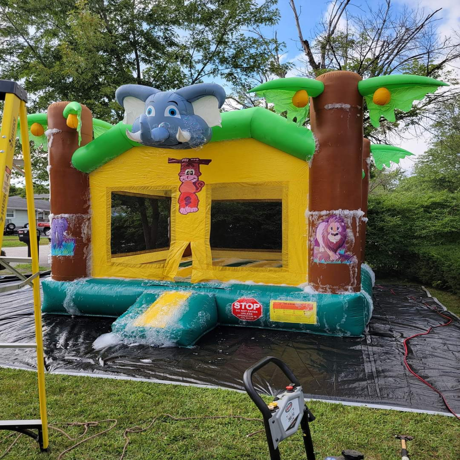 Safari Kingdom Bounce House Party Rentals in Laporte County, Porter County, Lake County, Starke