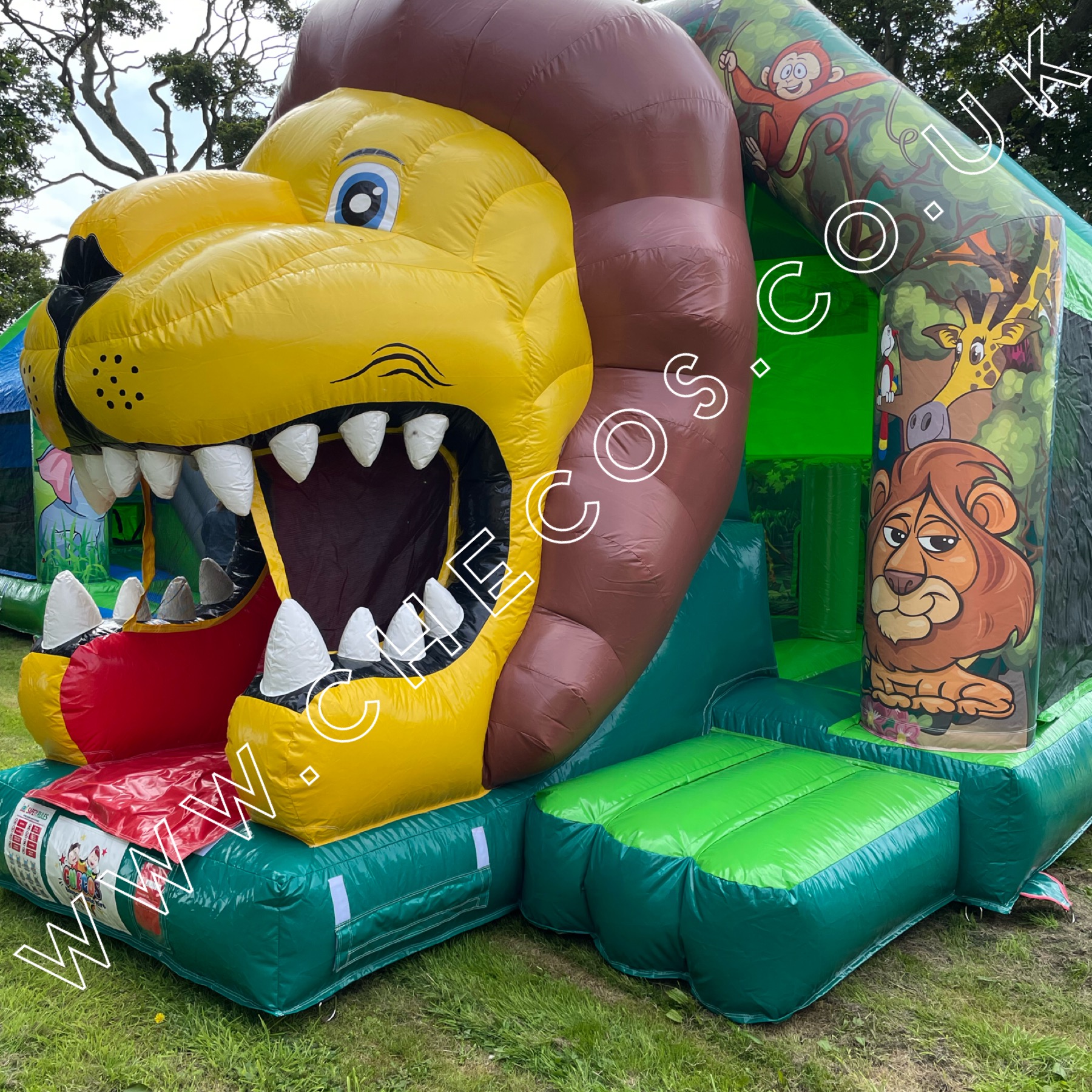 bouncy castle hire leitrim