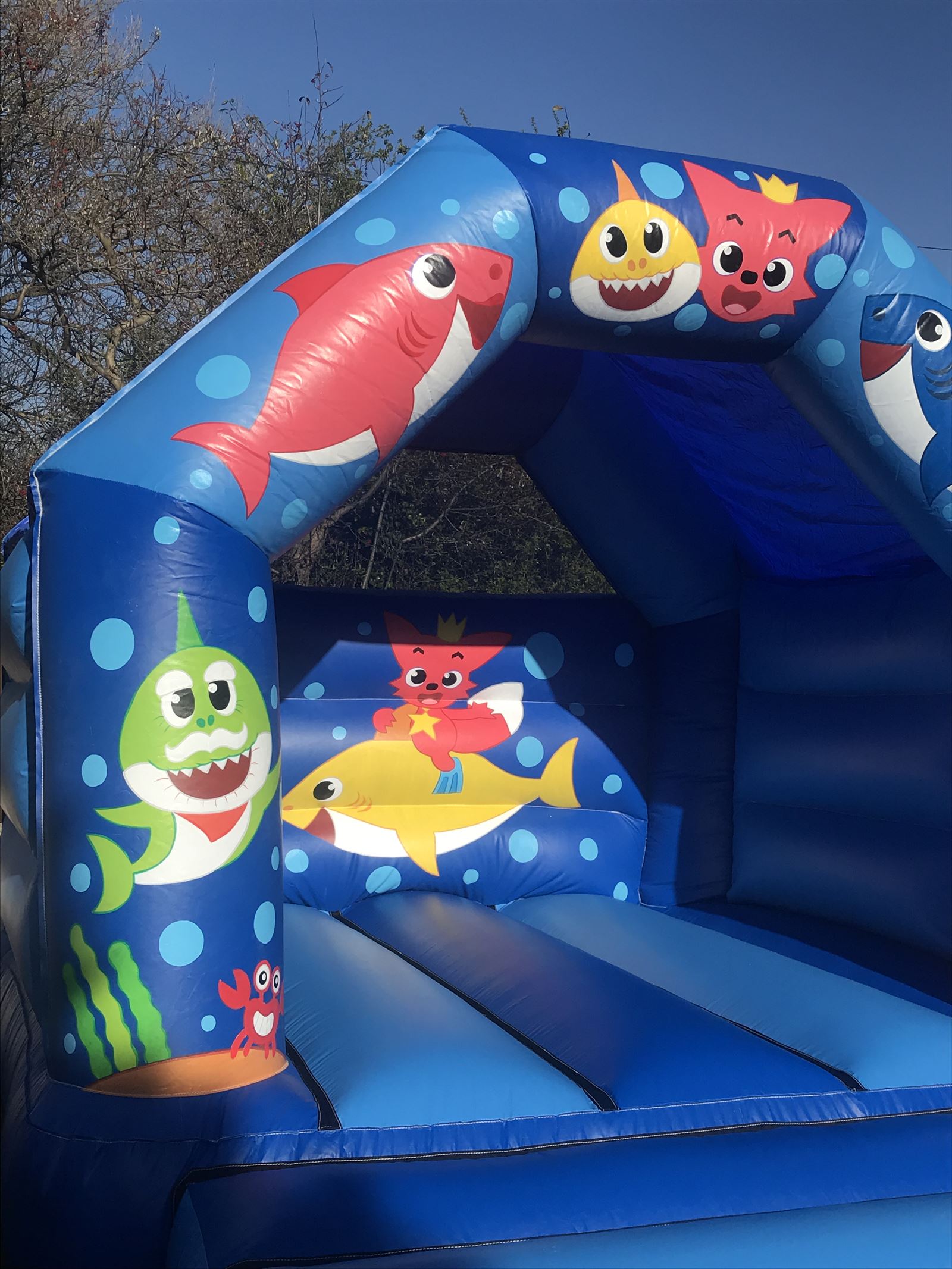 baby shark inflatable