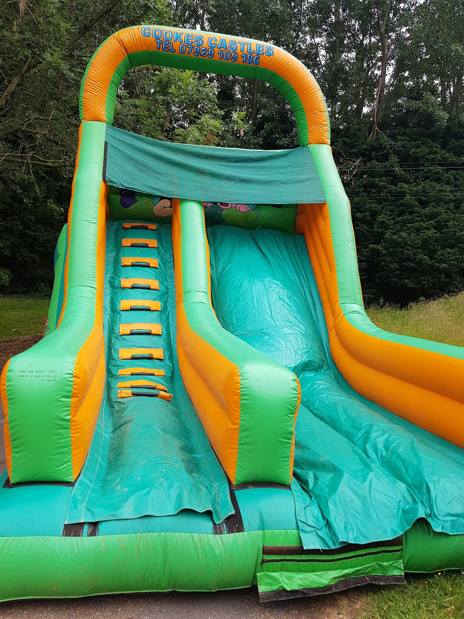 men's jungle slide