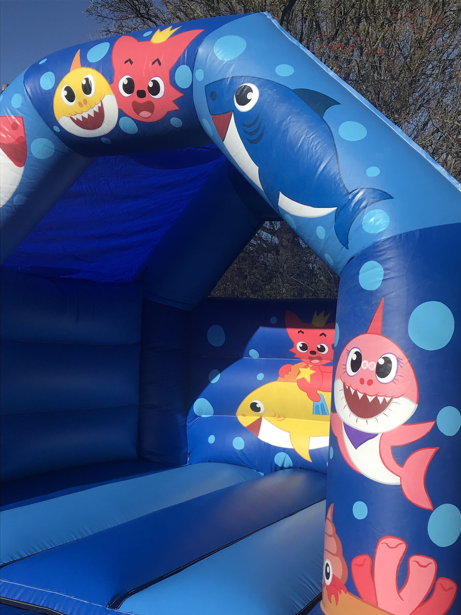 baby shark bouncy castle hire