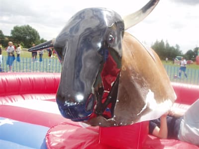 Close-up of the rodeo bull's head above the inflatable bed