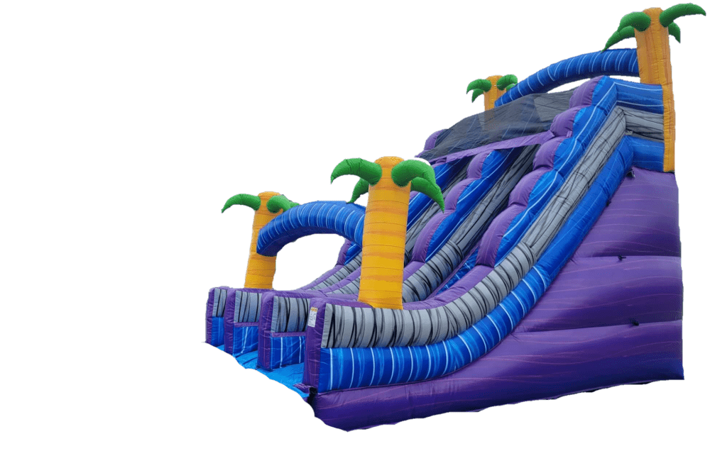 Double Slide Bounce House (NO WATER) - Bounce House Rentals in Pelion, SC