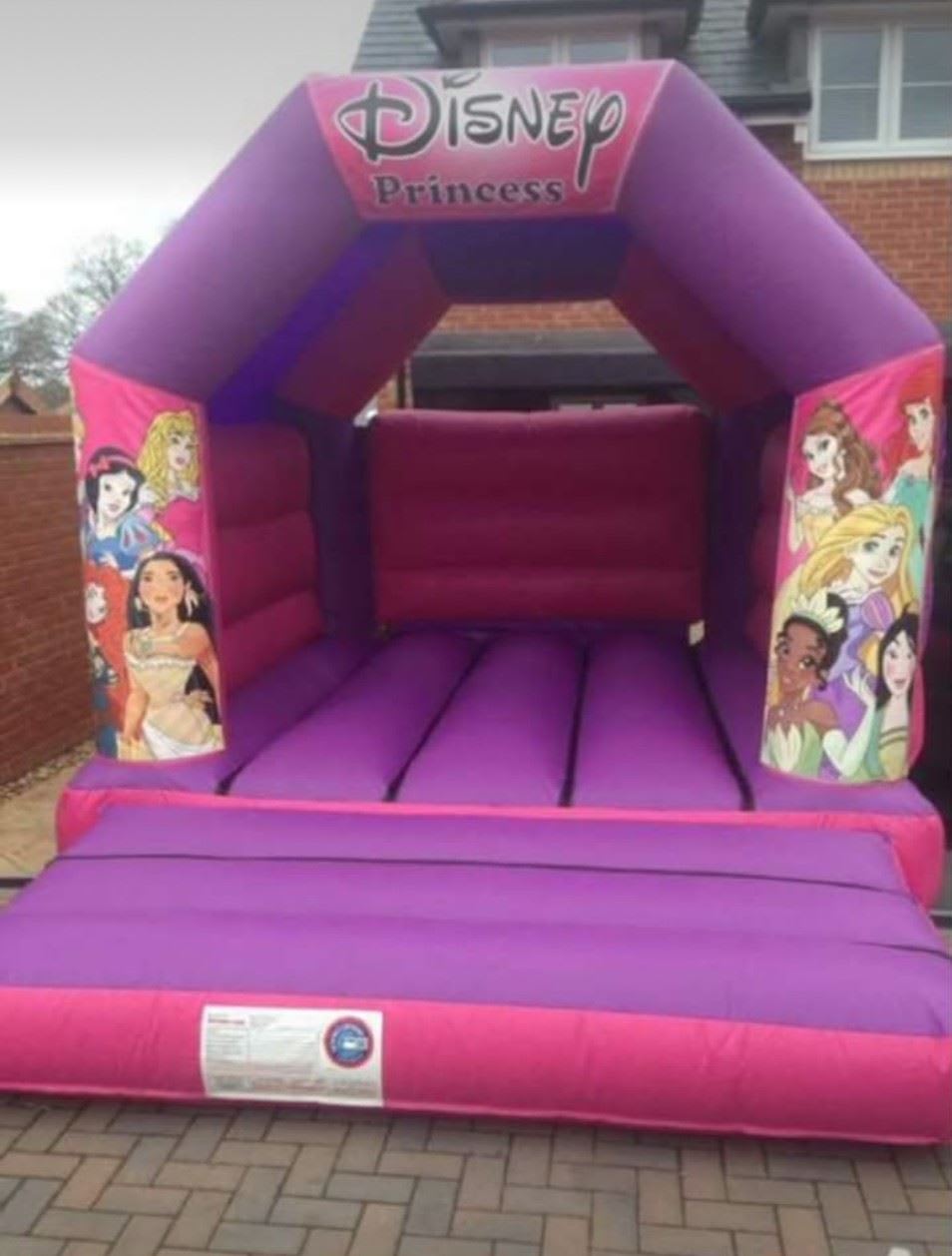 disney princess bouncy castle hire