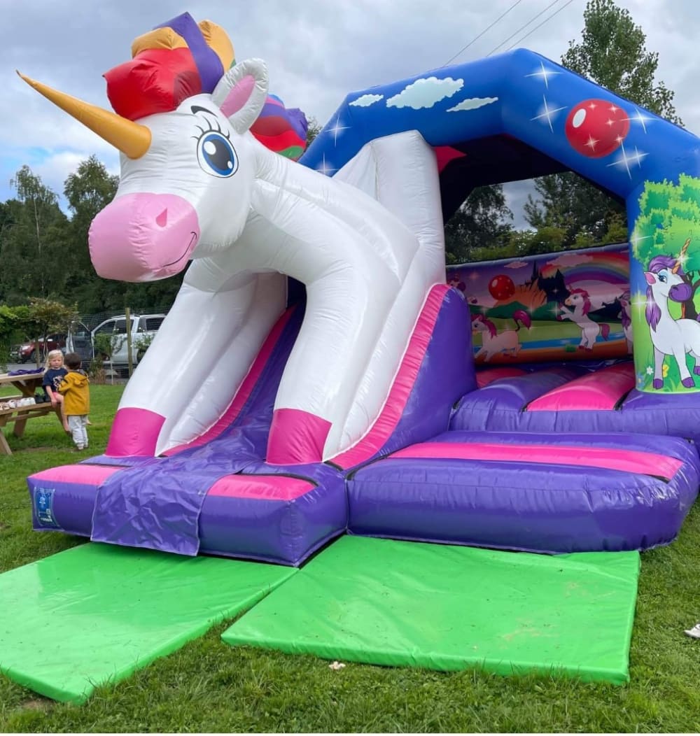 3D Unicorn Bounce and Slide - Bouncy Castle Hire, Slide, Kids Party, Games  and Soft Play in Marlow, High Wycombe, Henley, Maidenhead, Beaconsfield &  their surrounding areas