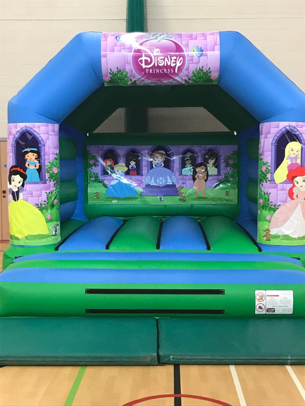 Princess 2024 bouncy castle