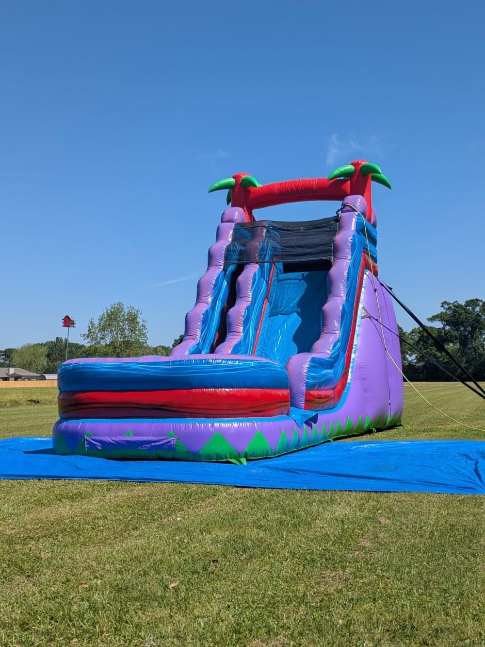 20Hx29Lx13W Single Lane Purple Haze - Inflatables, Bounce House