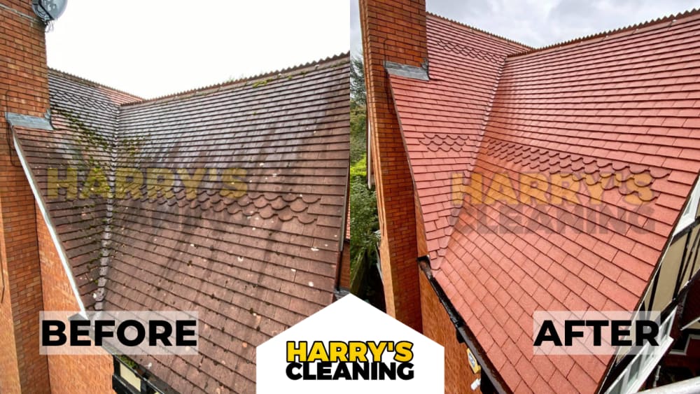 Professional roof cleaning and moss removal service completed in Sussex